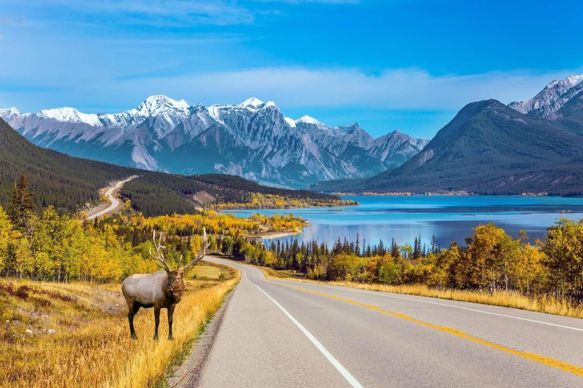 Beautiful Newly Reno 2Bdm 2 Bth Sleep Up To 6 Adults & Kids Mountain View Townhouse Suite Canmore Zewnętrze zdjęcie